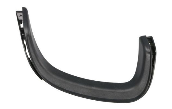 Decorative/protection panel, bumper