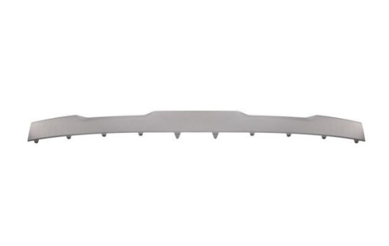 Decorative/protection panel, bumper