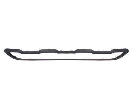 Decorative/protection panel, bumper