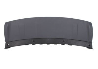 Decorative/protection panel, bumper