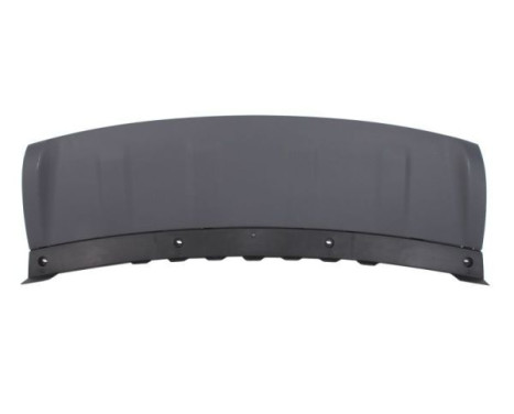 Decorative/protection panel, bumper