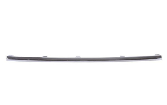Decorative/protection panel, bumper