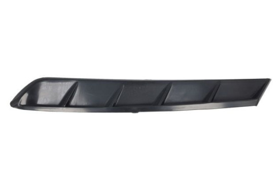 Decorative/protection panel, bumper