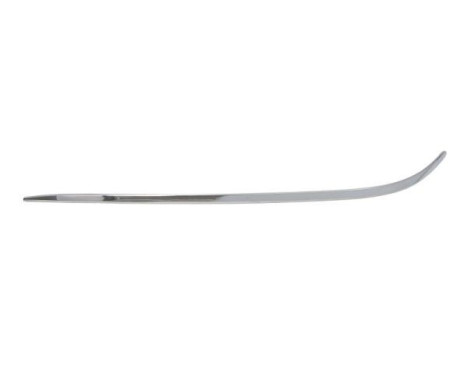 Decorative/protection panel, bumper