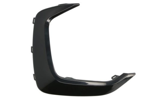 Decorative/protection panel, bumper