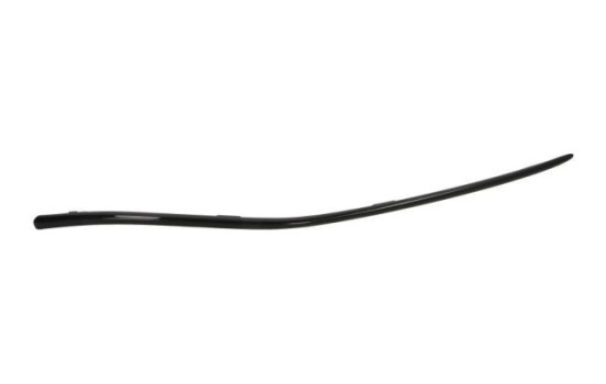 Decorative/protection panel, bumper