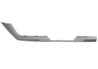 Decorative/protection panel, bumper