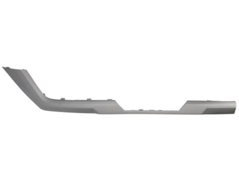 Decorative/protection panel, bumper