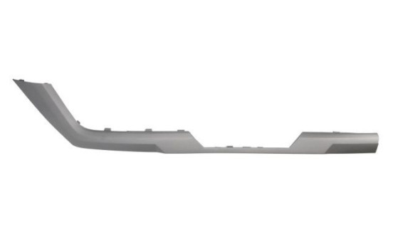 Decorative/protection panel, bumper