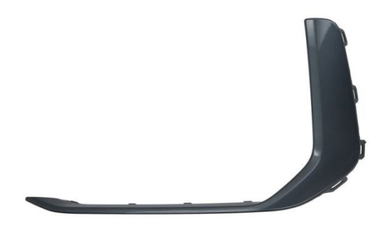 Decorative/protection panel, bumper