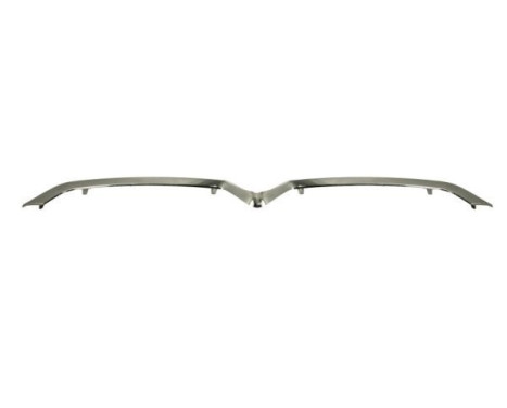 Decorative/protection panel, bumper