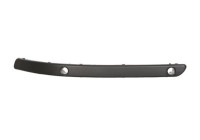 Decorative/protection panel, bumper