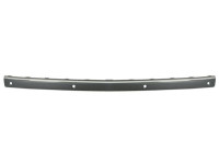 Decorative/protection panel, bumper