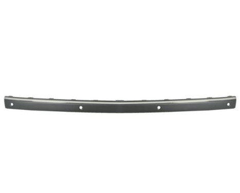 Decorative/protection panel, bumper