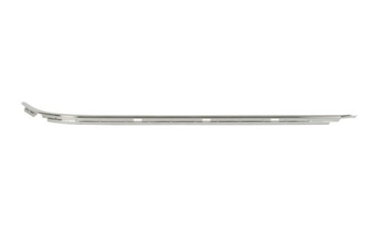Decorative/protection panel, bumper