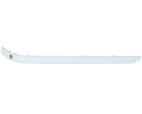Decorative/protection panel, bumper