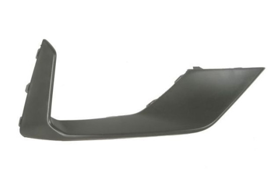 Decorative/protection panel, bumper