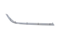Decorative/protection panel, bumper