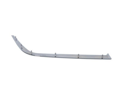 Decorative/protection panel, bumper