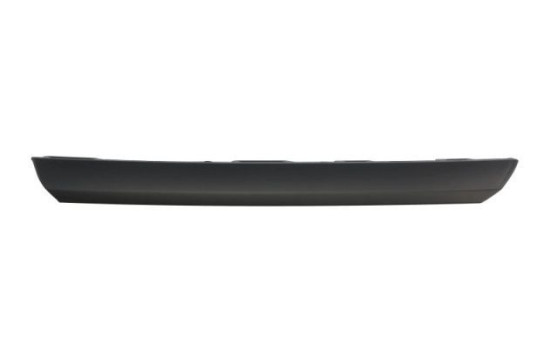 Decorative/protection panel, bumper