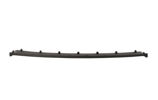 Decorative/protection panel, bumper