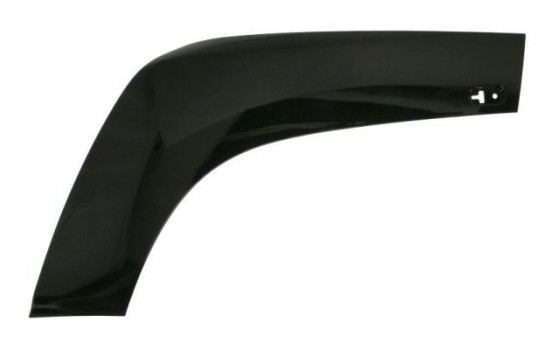 Decorative/protection panel, bumper