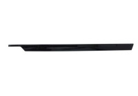 Decorative/protection panel, bumper