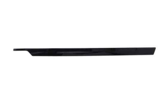 Decorative/protection panel, bumper