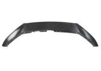 Decorative/protection panel, bumper