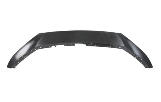 Decorative/protection panel, bumper