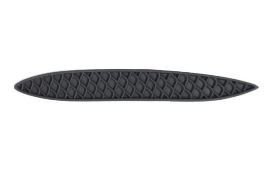 Decorative/protection panel, bumper