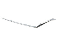 Decorative/protection panel, bumper