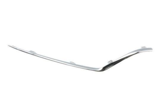 Decorative/protection panel, bumper