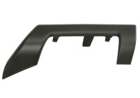 Decorative/protection panel, bumper