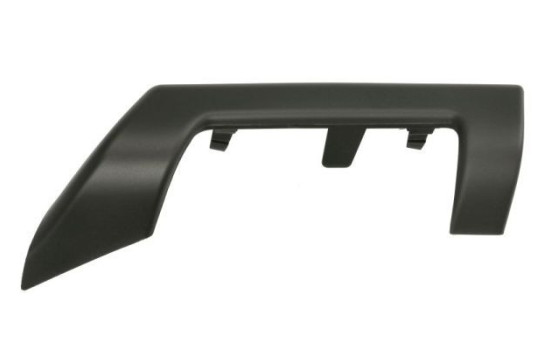 Decorative/protection panel, bumper