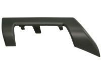 Decorative/protection panel, bumper