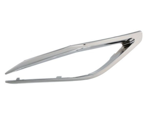 Decorative/protection panel, bumper