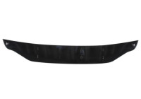 Decorative/protection panel, bumper