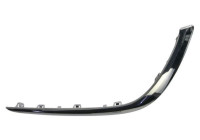 Decorative/protection panel, bumper