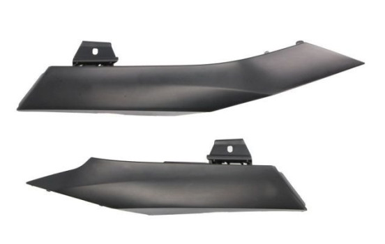 Decorative/protection panel, bumper