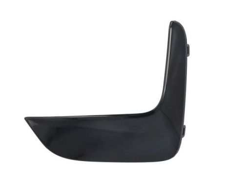 Decorative/protection panel, bumper