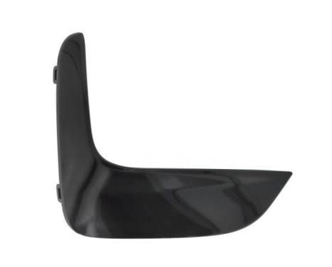 Decorative/protection panel, bumper