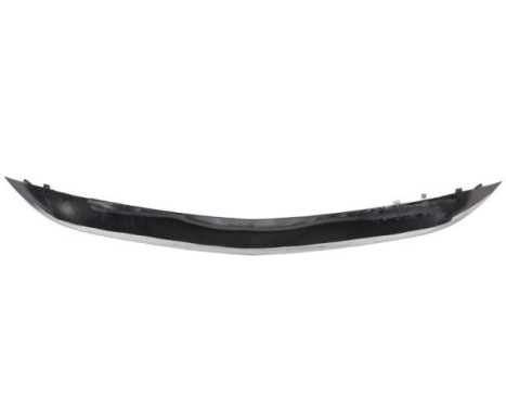 Decorative/protection panel, bumper