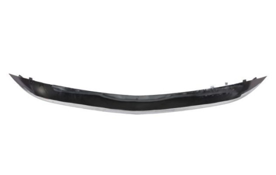 Decorative/protection panel, bumper