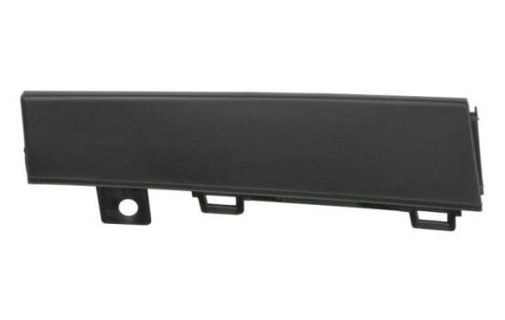 Decorative/protection panel, bumper
