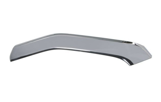 Decorative/protection panel, bumper