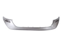 Decorative/protection panel, bumper