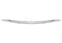 Decorative/protection panel, bumper