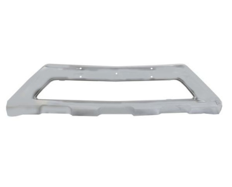 Decorative/protection panel, bumper