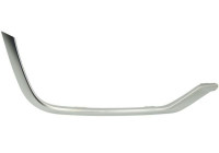 Decorative/protection panel, bumper